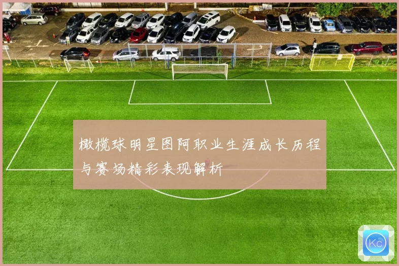 橄榄球明星图阿职业生涯成长历程与赛场精彩表现解析