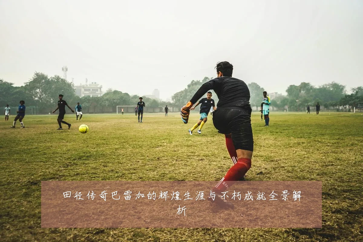 田径传奇巴雷加的辉煌生涯与不朽成就全景解析
