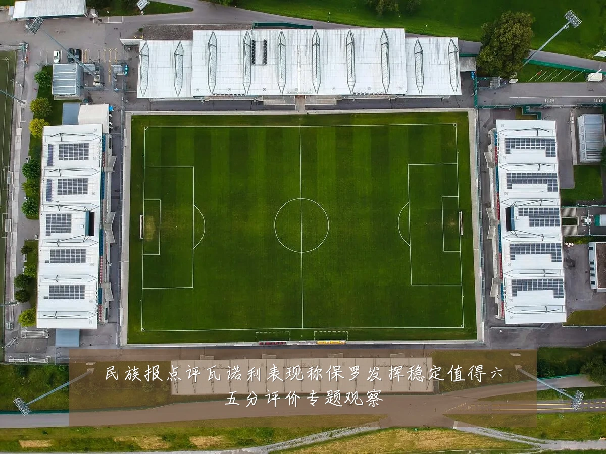 民族报点评瓦诺利表现称保罗发挥稳定值得六五分评价专题观察