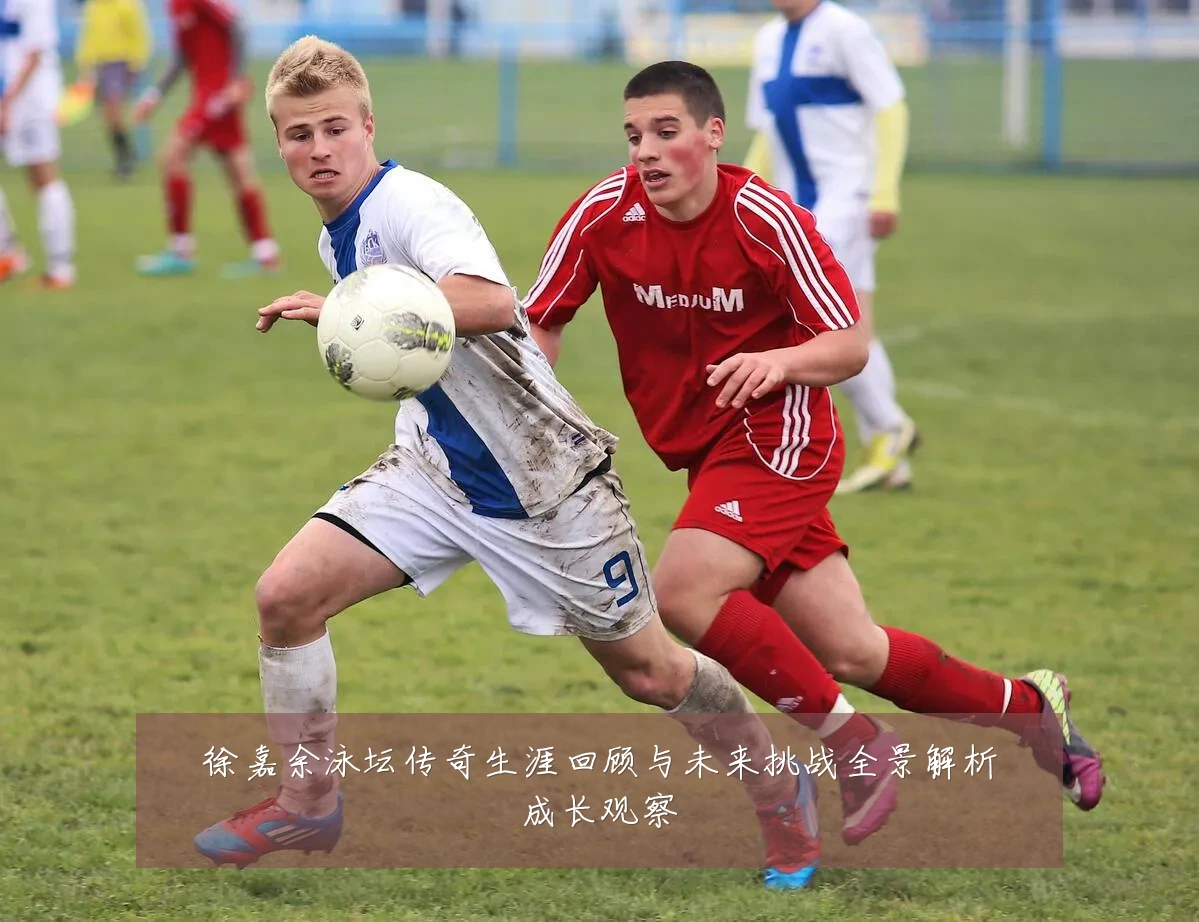 徐嘉余泳坛传奇生涯回顾与未来挑战全景解析成长观察